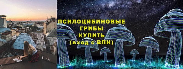 наркотики Каменка