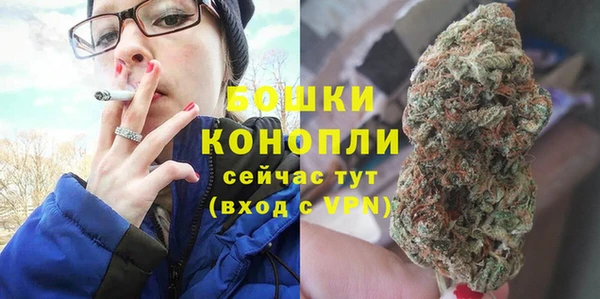 сатива Карталы